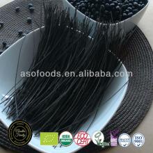 Organic Vegan Black Bean Spaghetti pasta