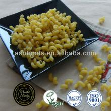Italian macaroni Rotini Pasta