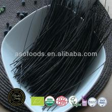 Organic Italian Black Bean Spaghetti pasta