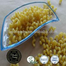 Pasta macaroni