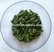 shirataki konjac noodles with zero fat zero calories
