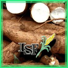 THAI TODAY Modified Tapioca  Starch   Industrial   Grade  and Food  Grade 