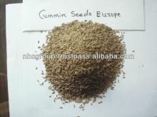 High quality cumin seeds