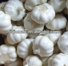 cheap benefit fresh ginger and garlic