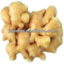 fresh chinese ginger for sale