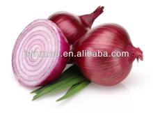 red fresh chinese onion