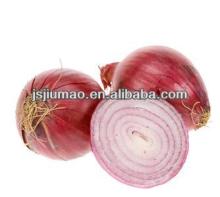 lowest price red fresh chinese onion for sale