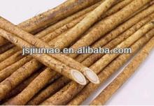 Chinese Fresh High Quality Burdock