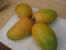  raw  mango &chikoo