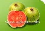  Pink   Guava   Puree  / Pulp