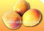 Totapuri Mango Puree / Pulp