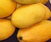 Fresh Mango