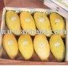 Fresh Mangoes