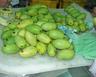  Fresh   Mangoes 