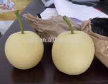 Chinese Fresh Pear