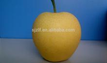 Fresh Crown Pear from Farm directly