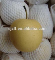 Fresh Pears