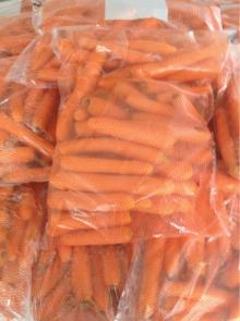 Carrot