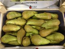 Pears Conference fresh