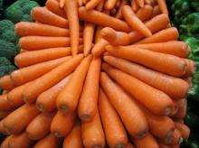 Fresh Carrots