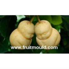 shape pears shaped fruits mold weird fruits