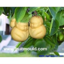 shaped pears shaped fruits mold weird fruits fruit molds