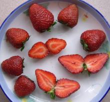 BQF Strawberry Puree