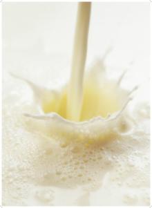 Cream Milk Flavour SW 413 PI
