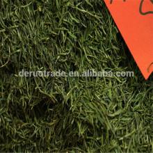 fitne slimming tea best green tea brand