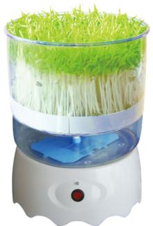 Automatic Bean Germinating Sprouter Machine CE approved