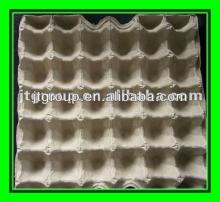 paper   pulp   egg   tray 