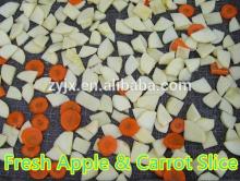 puffed fruit production line