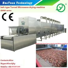 preserved fruits drying machine/microwave Sterilizing Machine