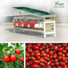 Cherry tomato grading machine YSXT-1C