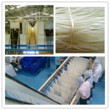 Dried rice noodle machine