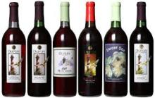 Duplin Winery Six Reds: Burgundy, Hatteras Red, Carolina Red, Black River Red, Sweet Sox Red and Eas