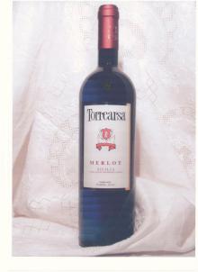 MERLOT Italian wine CANTINA TORREARSA