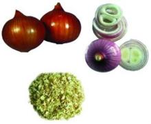Dehydrated Onion Granule