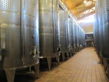  Bulk   wine  Sauvignon Blanc, Chardonnay, Verdejo, Macabeo, Cabernet sauvignon, Merlot, Monastrell and