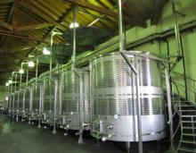 Bulk wine Rose, White and Red Spanish