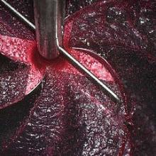 Bulk wine Red, White and Rose Spanish