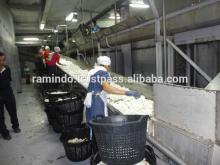 Dessiccated Coconut high fat medium grade
