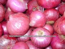 MARKET PRICE FOR RED ONION