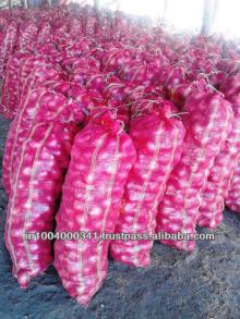 LOWEST PRICE FOR RED ONION