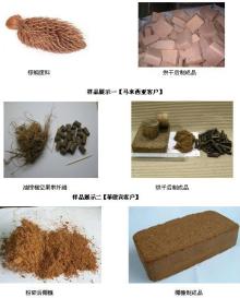 Desiccated Coconut Drying Machine with ISO9001:2000