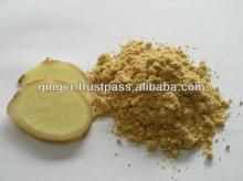 spices powder Dried Ginger Extract Powder herbes and spices import is ginger good