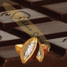 Chocolate Couverture with Yacon Syrup