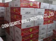 tomato puree,ketchup,tomato pulp,A0111