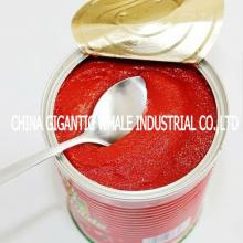 tomato puree,ketchup,tomato pulp,A0118