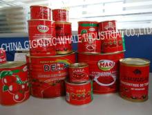 tomato puree,ketchup,tomato pulp,A019